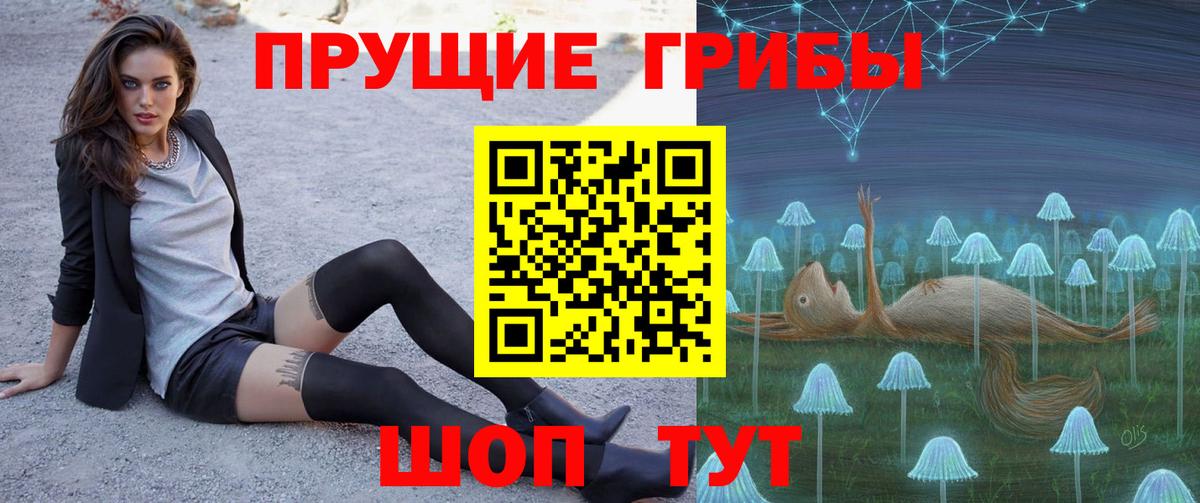 Псилоцибиновые грибы Psilocybe Новоалтайск